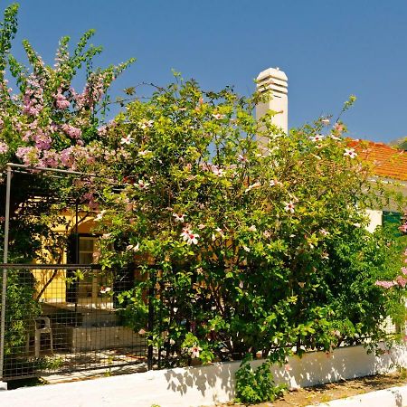 House With Garden Near The Sea Apartment Agia Efimia ภายนอก รูปภาพ