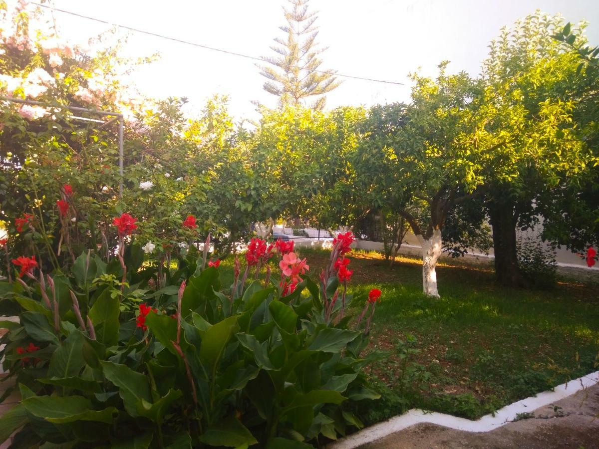 House With Garden Near The Sea Apartment Agia Efimia ภายนอก รูปภาพ