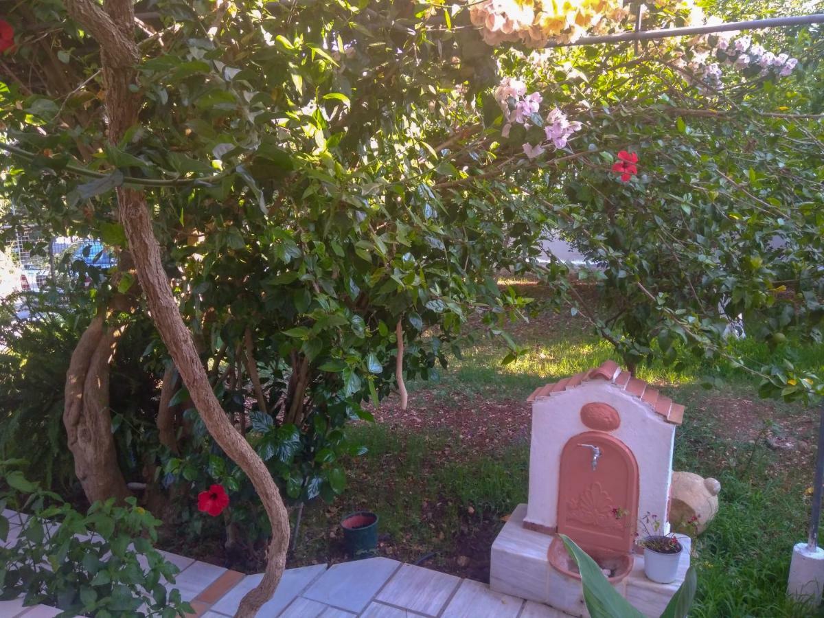 House With Garden Near The Sea Apartment Agia Efimia ภายนอก รูปภาพ