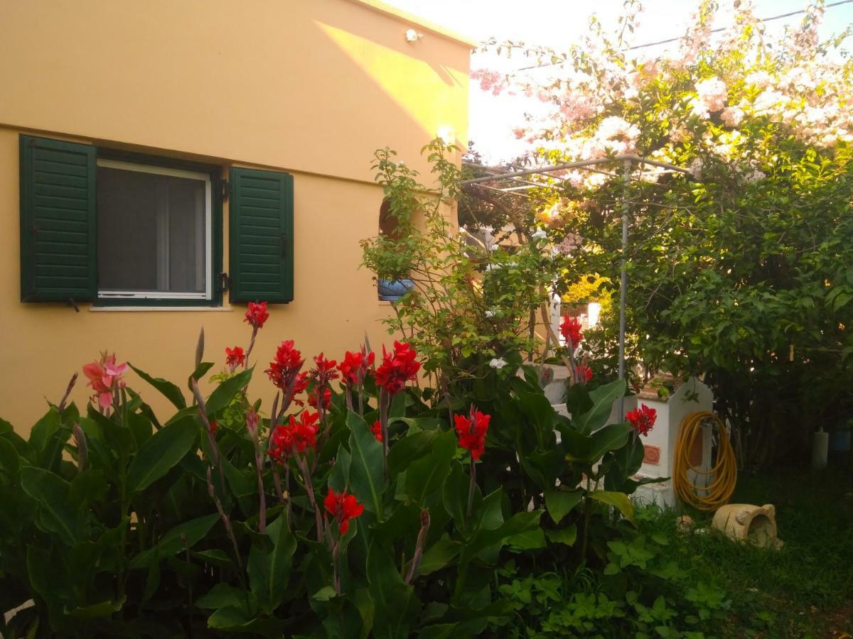 House With Garden Near The Sea Apartment Agia Efimia ภายนอก รูปภาพ