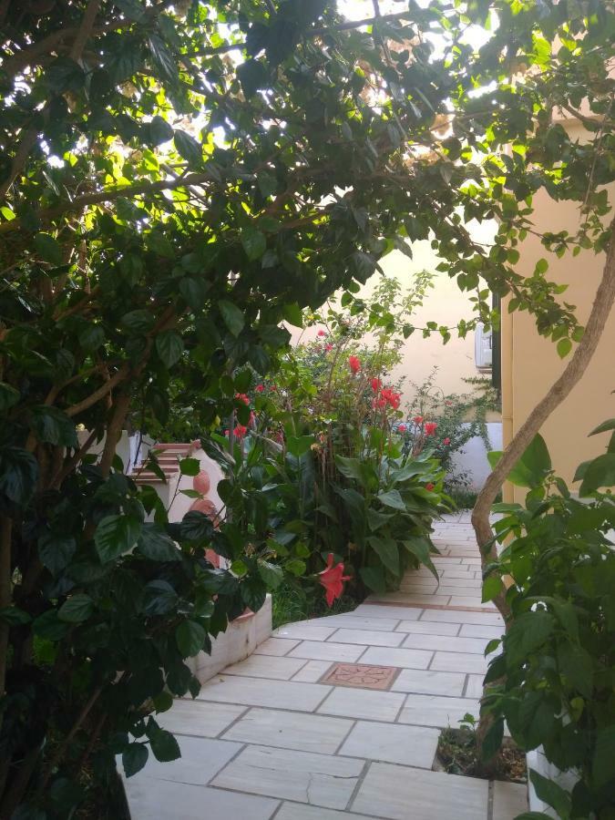 House With Garden Near The Sea Apartment Agia Efimia ภายนอก รูปภาพ