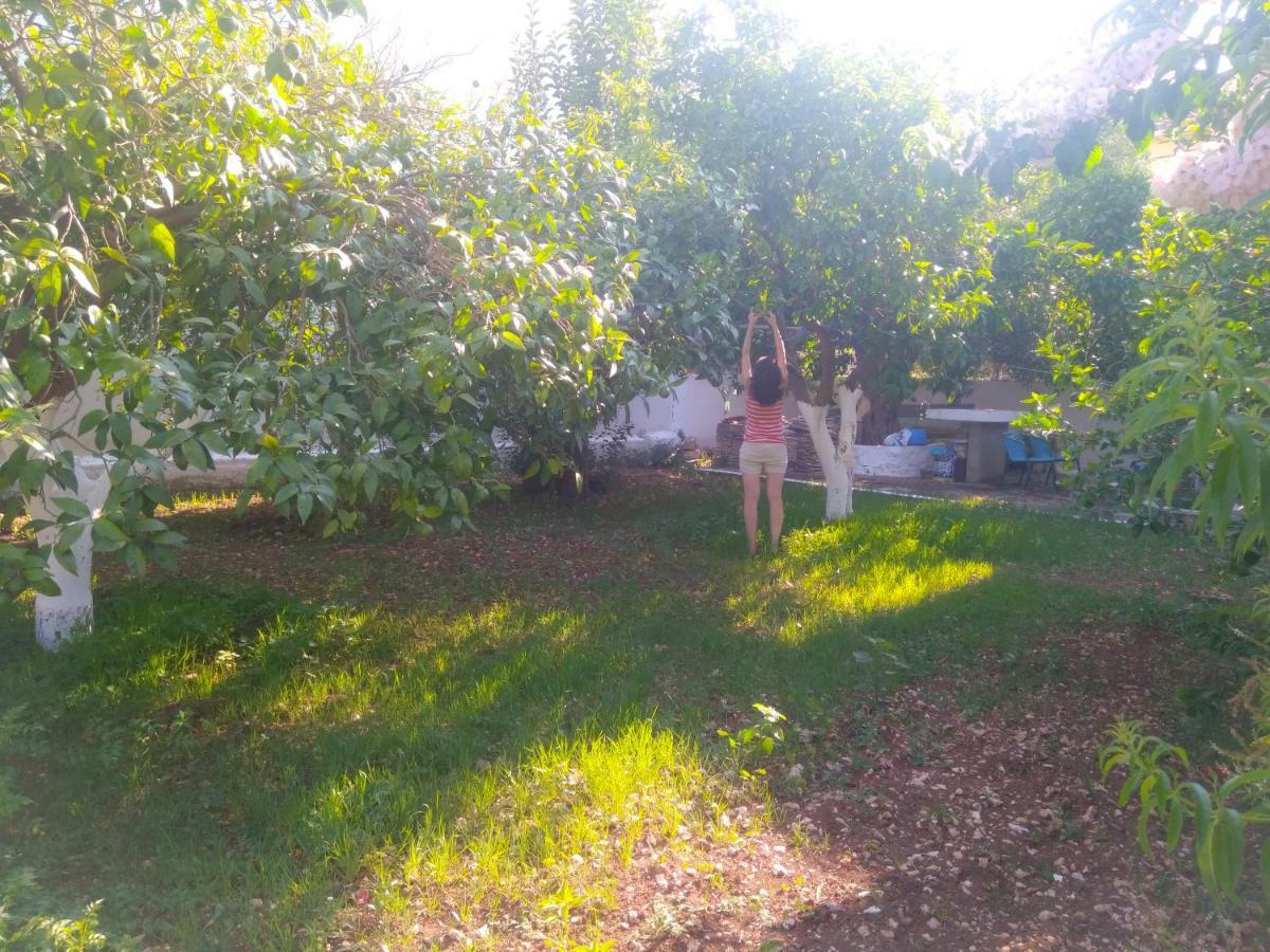House With Garden Near The Sea Apartment Agia Efimia ภายนอก รูปภาพ